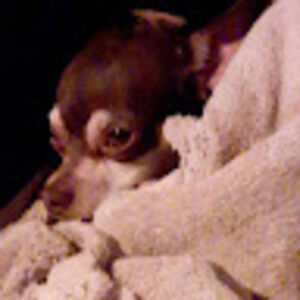 Meet your Posher, Kathryn